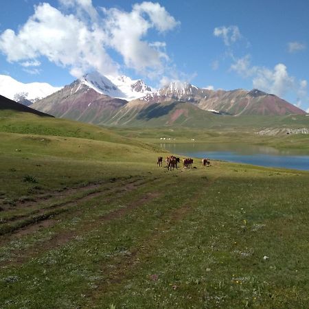 Pamir Nomad Yurt Camp Hotel Kara-Kavak Exterior photo
